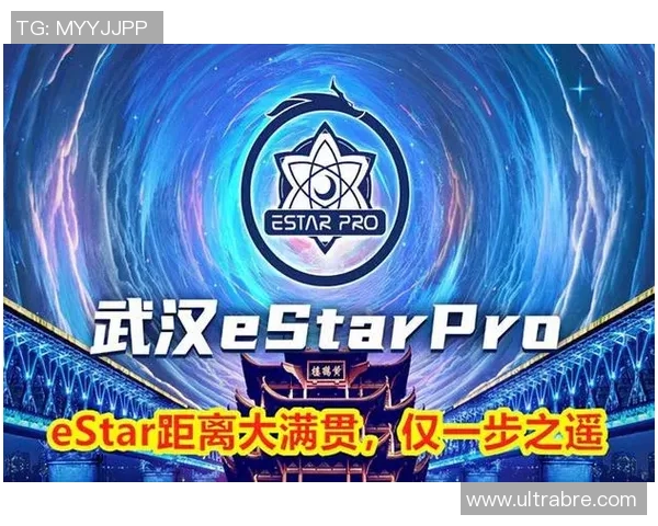 TES在冠军杯中的技术表现分析与战术解读